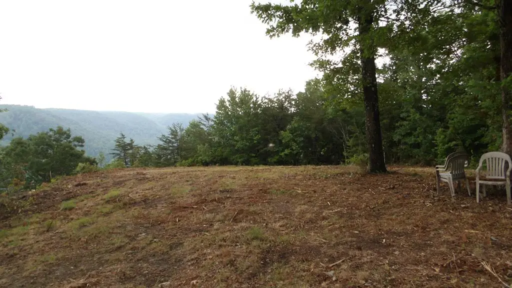 442 Valley View Circle, Wilder, TN 38589 - #1