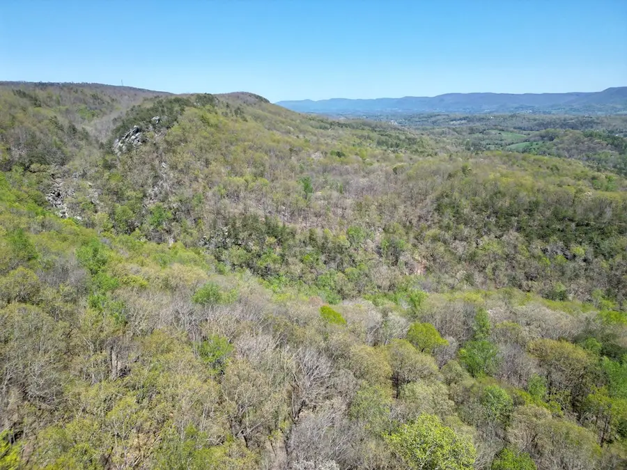 0 Old Spencer Rd. - 175 Acres, Pikeville, TN 37367 - Image #2