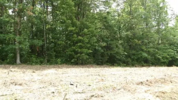 Lot 222 Hilltop Lane, WILDER, TN 38589