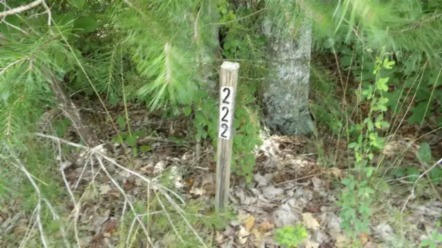 Lot 222 Hilltop Lane, Wilder, TN 38589 - Image #3