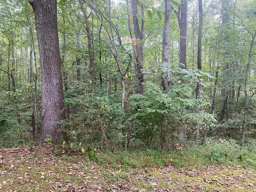 Lot 1 Aarow Trail, Monterey, TN 38574 - Image #1