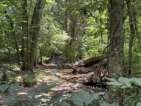 0 Bear Creek Circle, COOKEVILLE, TN 38506