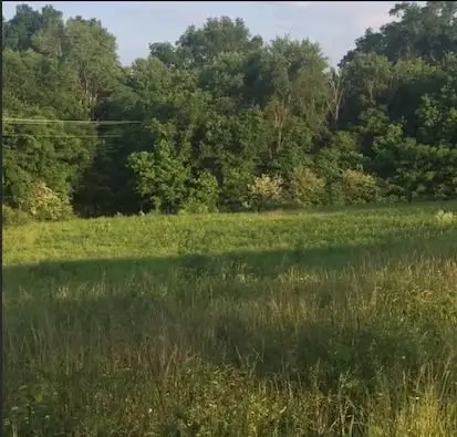 788 Old Walton Road, Cookeville, TN 38501 - #2