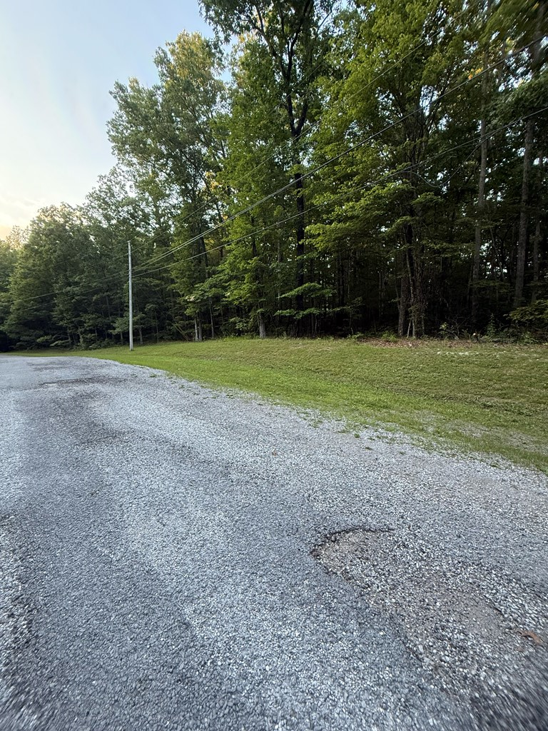 Lot 5 Clyde Place, Monterey, TN 38574 - Image #3