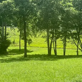 5740 South York Highway, Clarkrange, TN 38553 - Image #3