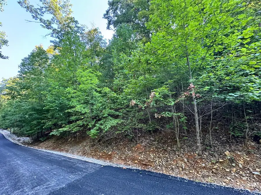 626 North Pointe Trail, Allons, TN 38541 - #3