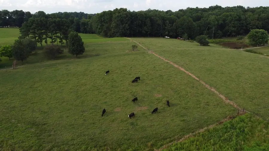 00 Woodlee Street, Spencer, TN 38585 - Image #3