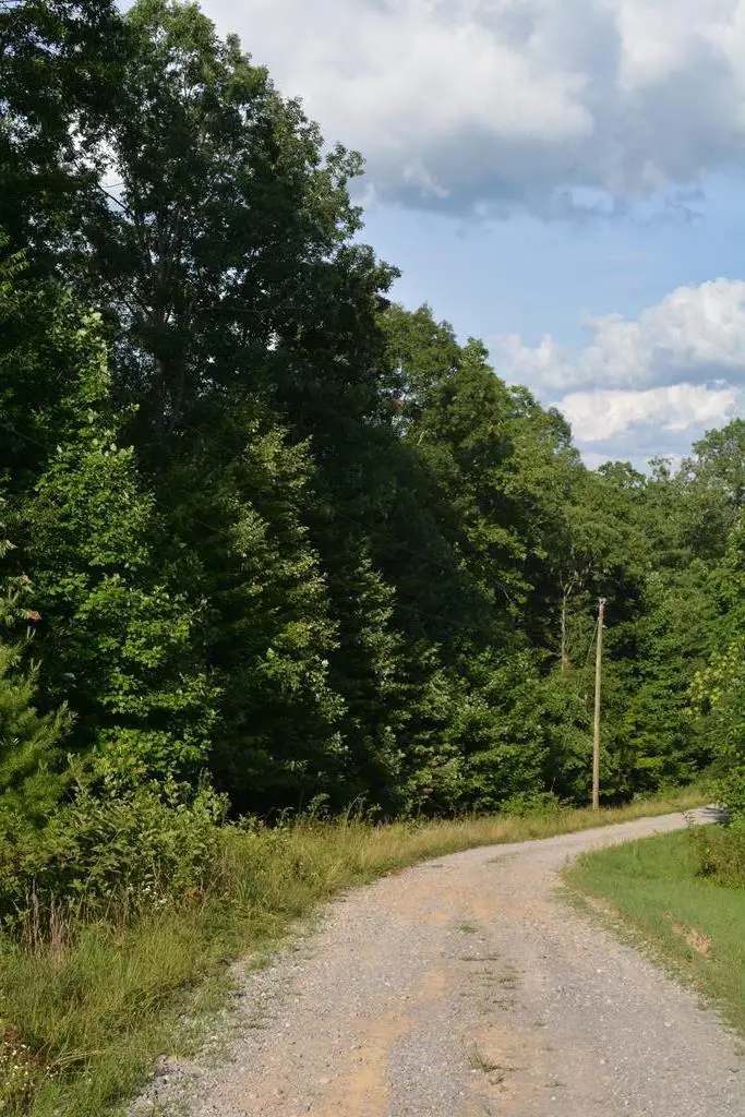 11071 River Drive, Crawford, TN 38554 - Image #3