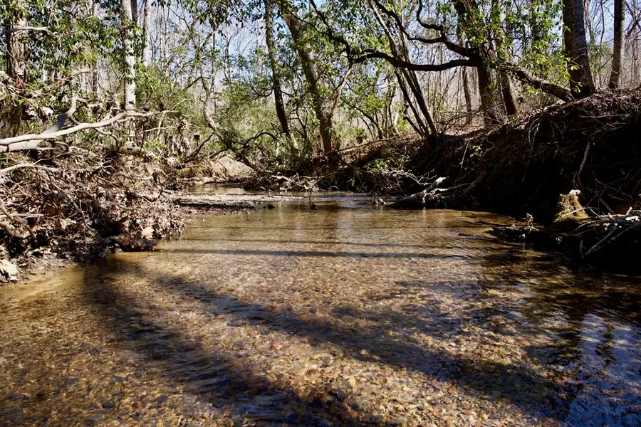 266AC Meadow Lark, Dunlap, TN 37327 - Image #2