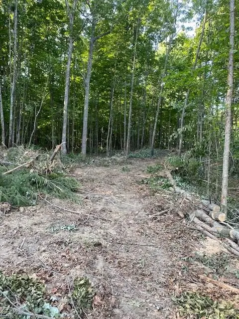 na Veterans Lookout, Wilder, TN 38589 - Image #2