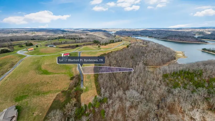 Lot 17 Bluebird Pt, Byrdstown, TN 38549 - Image #2