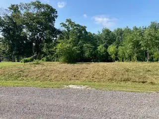 Lot 36 Lanis Rd, Baxter, TN 38544 - #3
