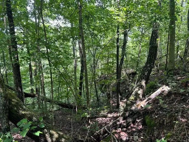 Lot 89 Bobcat Lane, Wilder, TN 38589 - Image #2