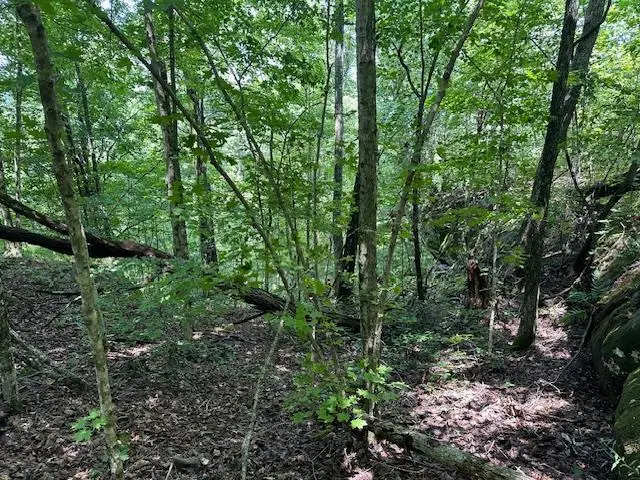Lot 89 Bobcat Lane, Wilder, TN 38589 - Image #3