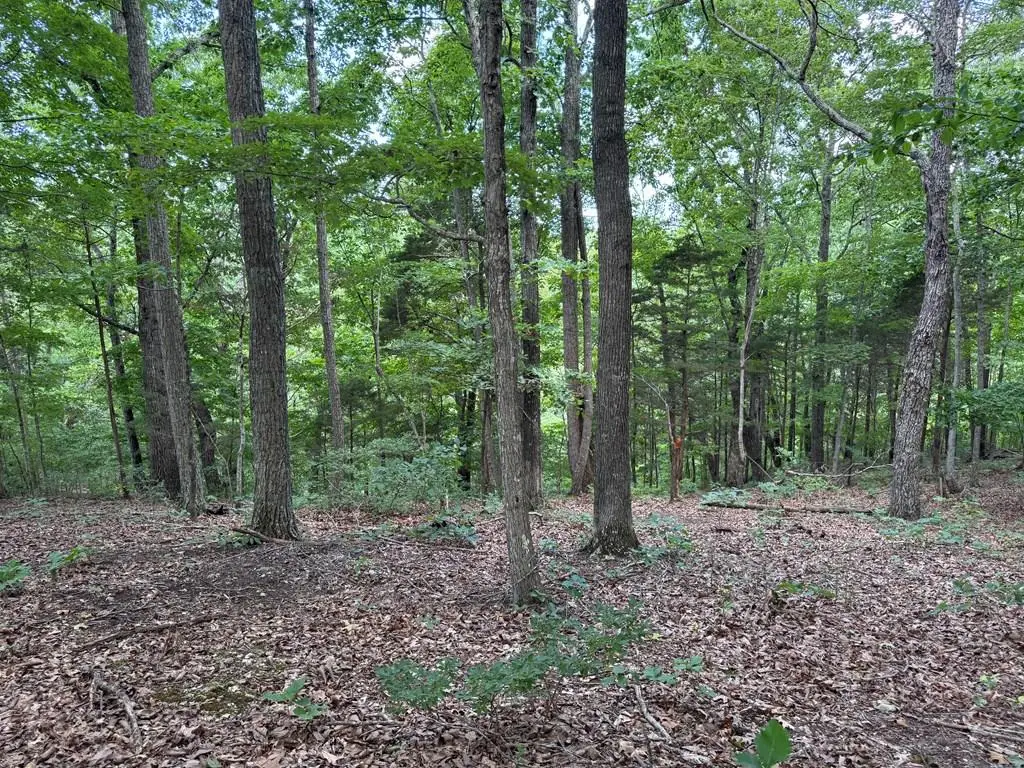 Lot 12 Cornerstone Pkwy, Allons, TN 38541 - Image #1