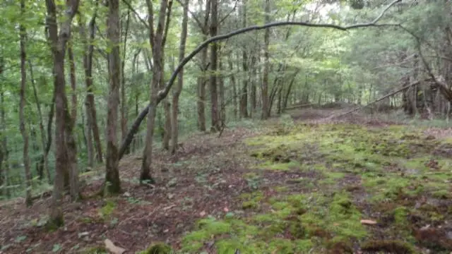 2.64ac Old Hwy 53 S., Celina, TN 38551 - Image #1