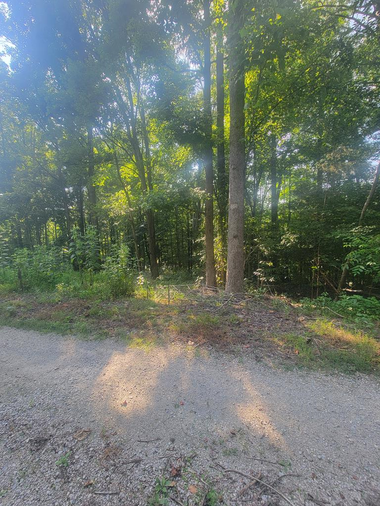 5395 Eastport Dock Rd, Monroe, TN 38573 - Image #1