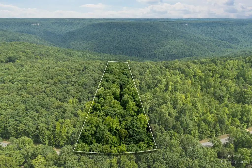 Lot 28 Cumberland Cove Rd., Monterey, TN 38574 - #1