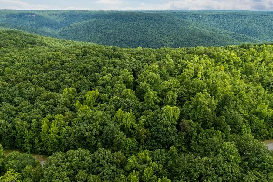 Lot 28 Cumberland Cove Rd., Monterey, TN 38574 - #3