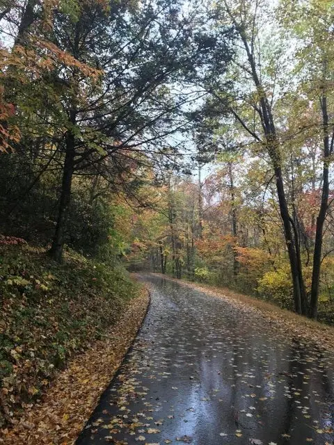 14 Diamond Pointe, Butler, TN 37640 - Image #3