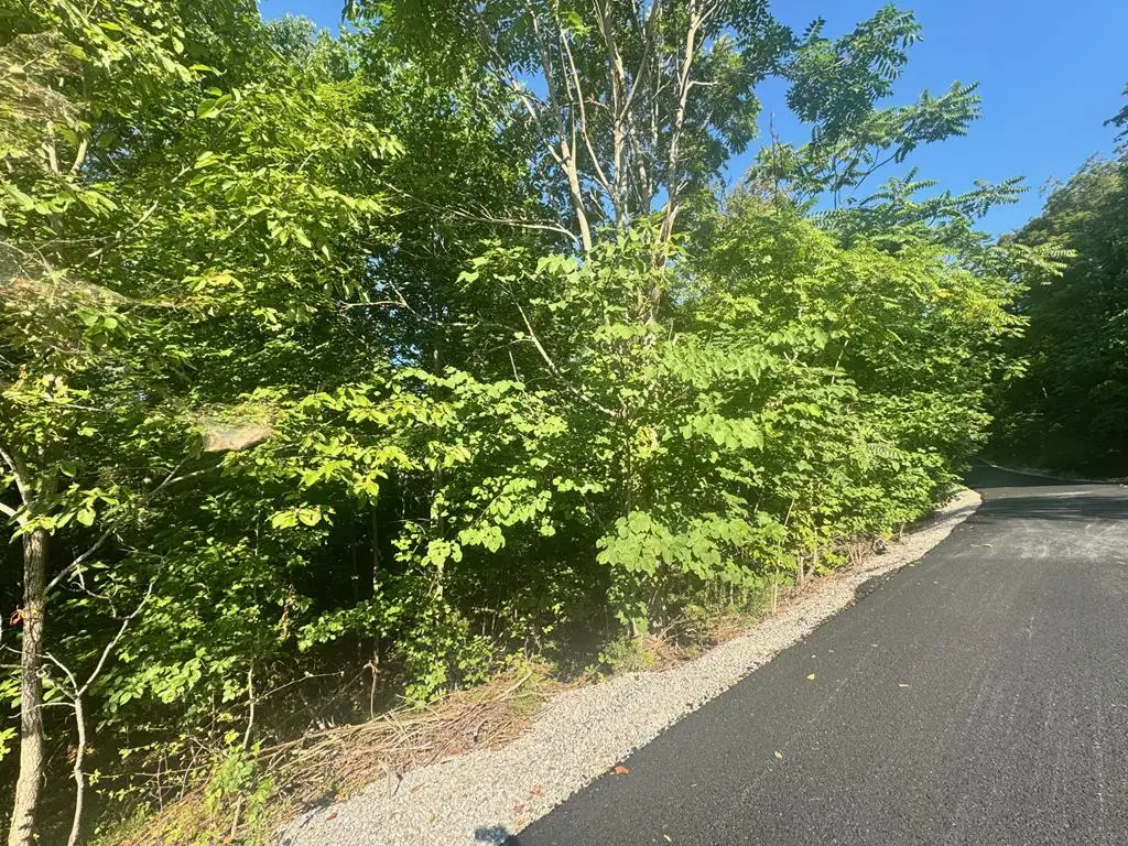 617 North Pointe Tr, Allons, TN 38541 - Image #1