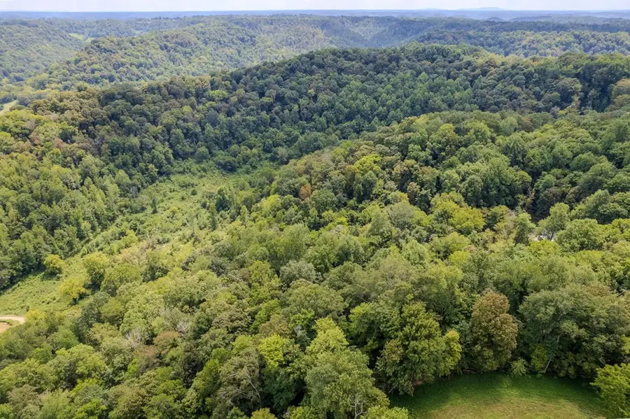 53.19AC Watts Hollow Rd, Buffalo Valley, TN 38548 - Image #2