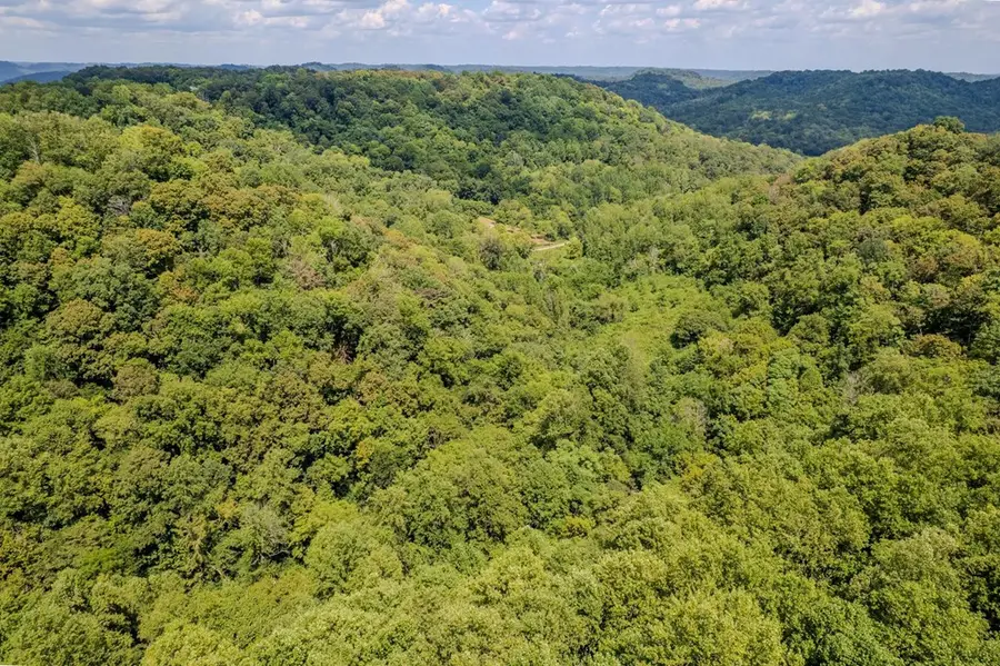 53.19AC Watts Hollow Rd, Buffalo Valley, TN 38548 - Image #3