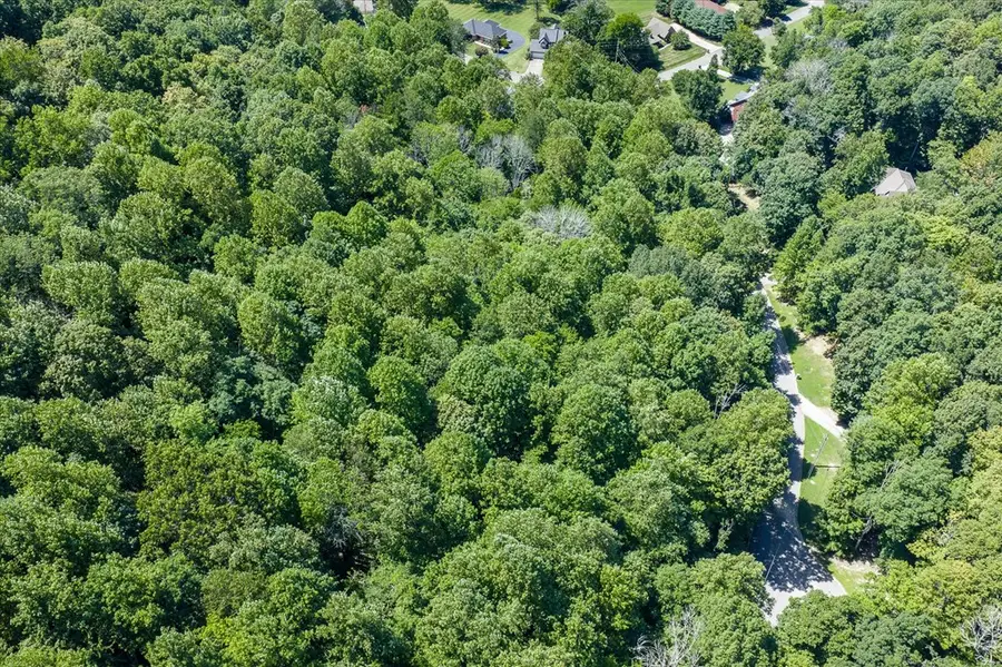 411 Auguste Circle, Cookeville, TN 38506 - #2