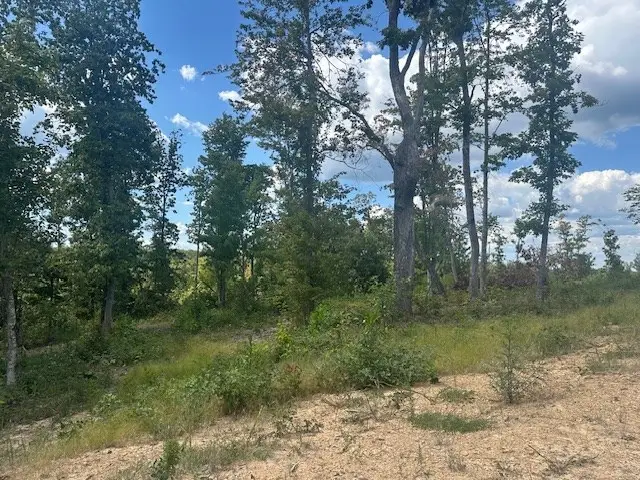 Lot 5 Flat Rock Rd, Jamestown, TN 38556 - Image #3