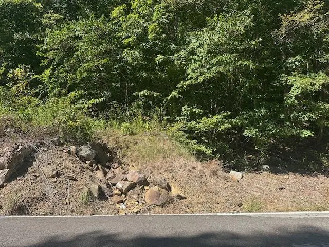 LOT 364A 6360 Wilder Hwy, Wilder, TN 38589 - Image #1