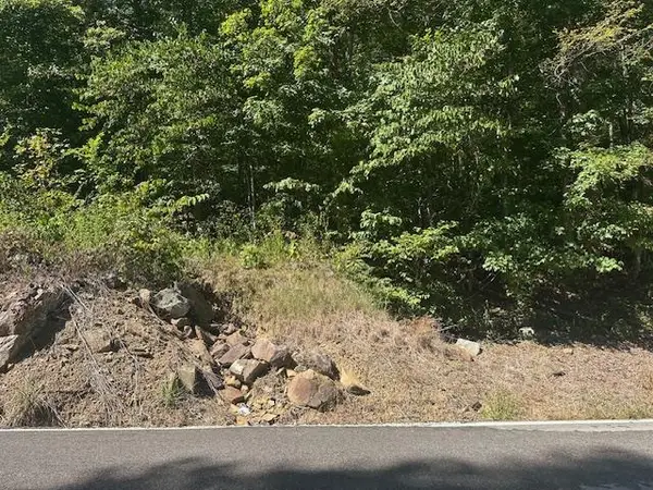 LOT 364A 6360 Wilder Hwy, WILDER, TN 38589