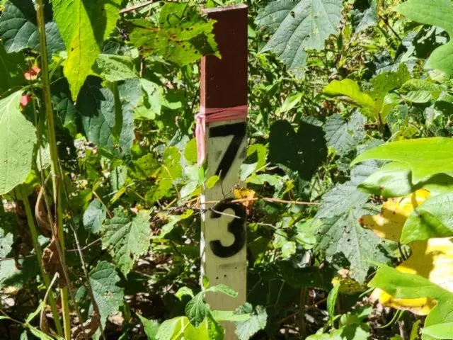 Lot 73 Tomahawk Rd, Jamestown, TN 38556 - Image #2