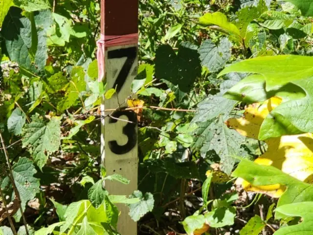 Lot 73 Tomahawk Rd, Jamestown, TN 38556 - Image #3