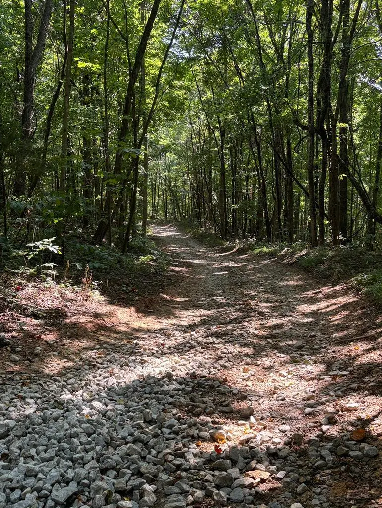 1551 Star Point Rd, Celina, TN 38551 - Image #3