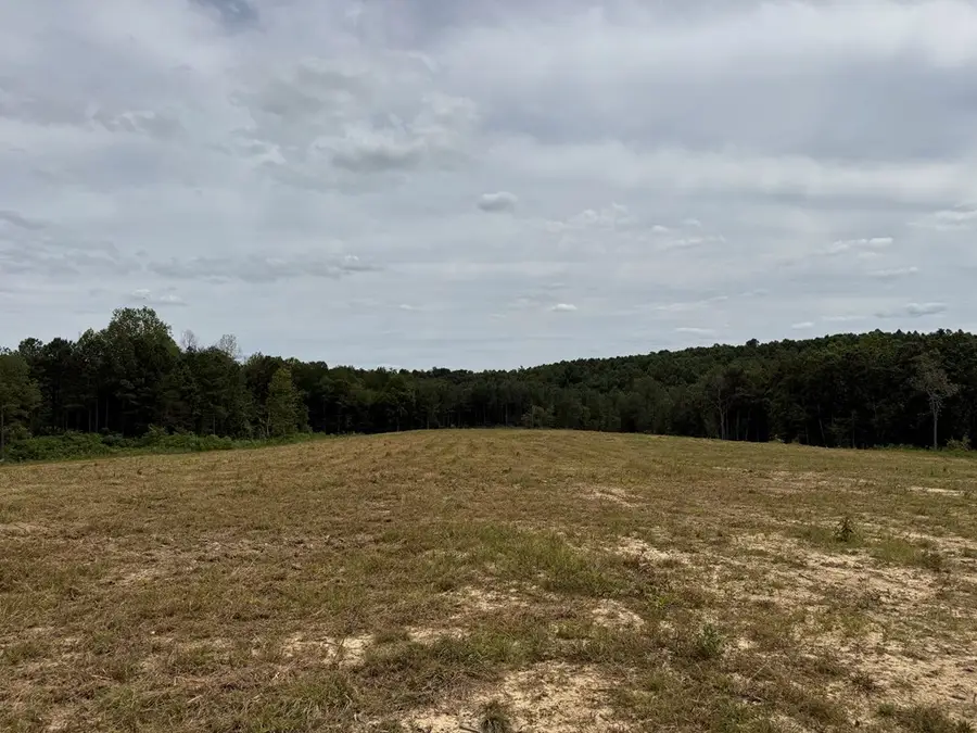 20.55 Ac Bolin Rd, Crossville, TN 38572 - #2
