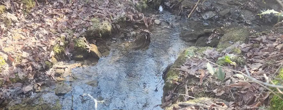 20.55 Ac Bolin Rd, Crossville, TN 38572 - #3