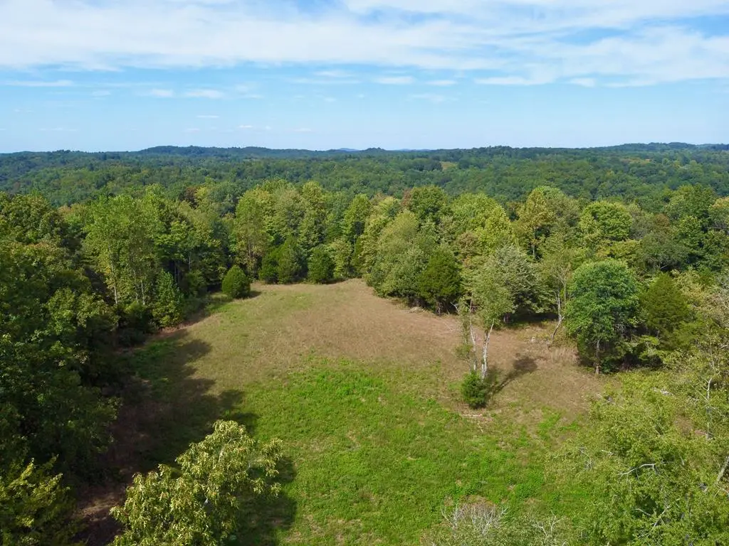 296 Enterprise Ln, Gainesboro, TN 38562 - Image #1