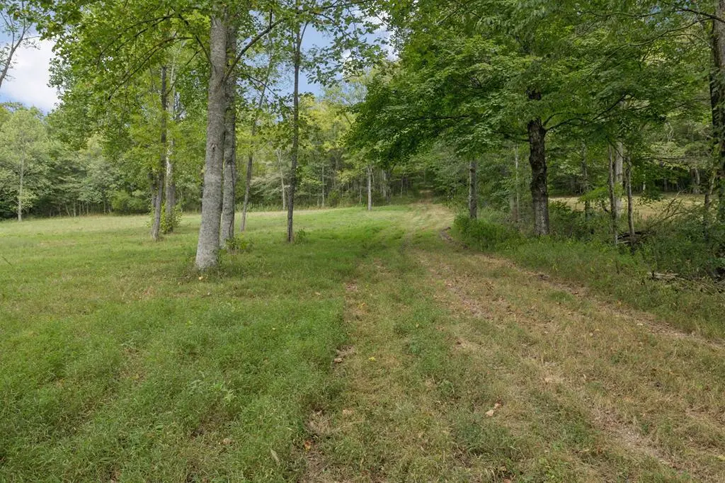 46.19 Ac Funn Branch Rd, Gainesboro, TN 38562 - Image #1