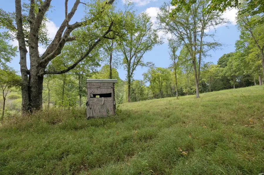 46.19 Ac Funn Branch Rd, Gainesboro, TN 38562 - Image #3