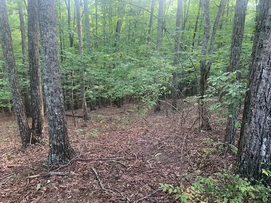 00 Jaguar Trail, Spencer, TN 38585 - Image #3