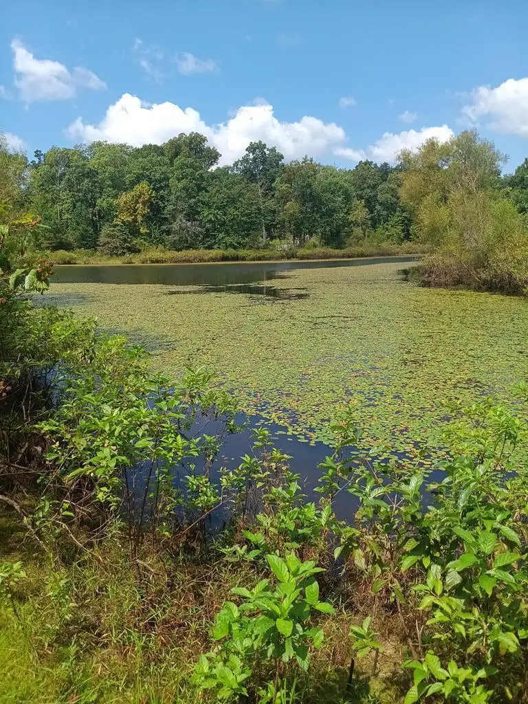 Lot# 36 Diane Circle, Crossville, TN 38572 - Image #2