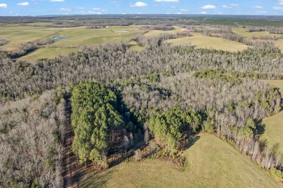 150 Acre Prong Of Clear Fork, Jamestown, TN 38566 - Image #3