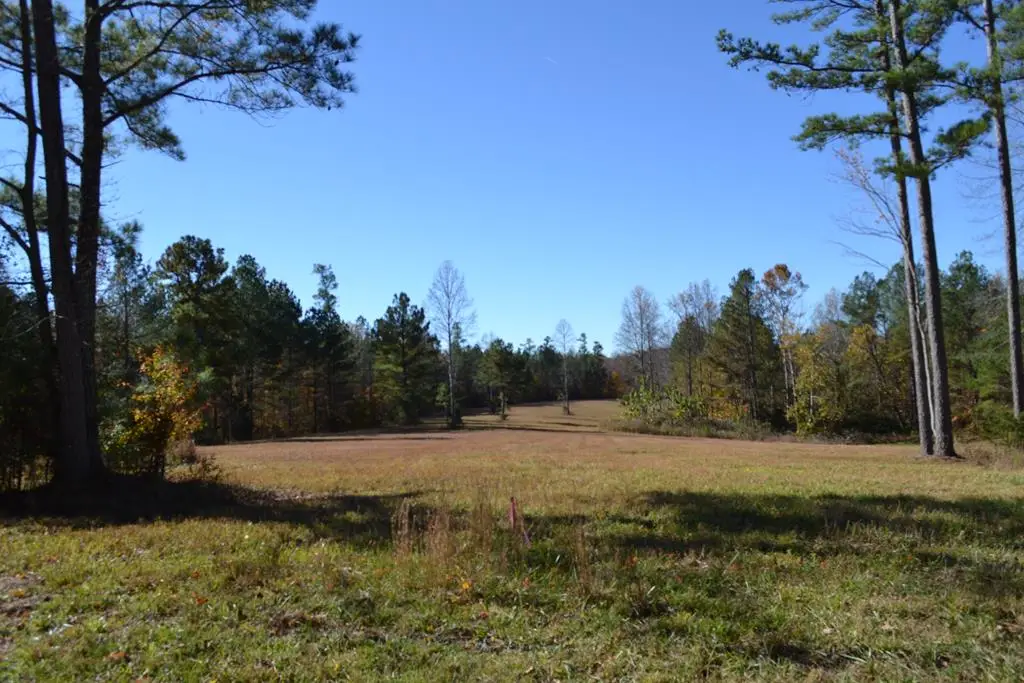 28.30ac Whitson Hollow Rd, Red Boiling Springs, TN 37150 - Image #1