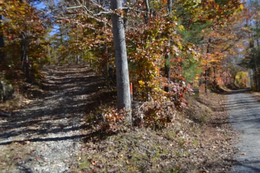 28.30ac Whitson Hollow Rd, Red Boiling Springs, TN 37150 - Image #2