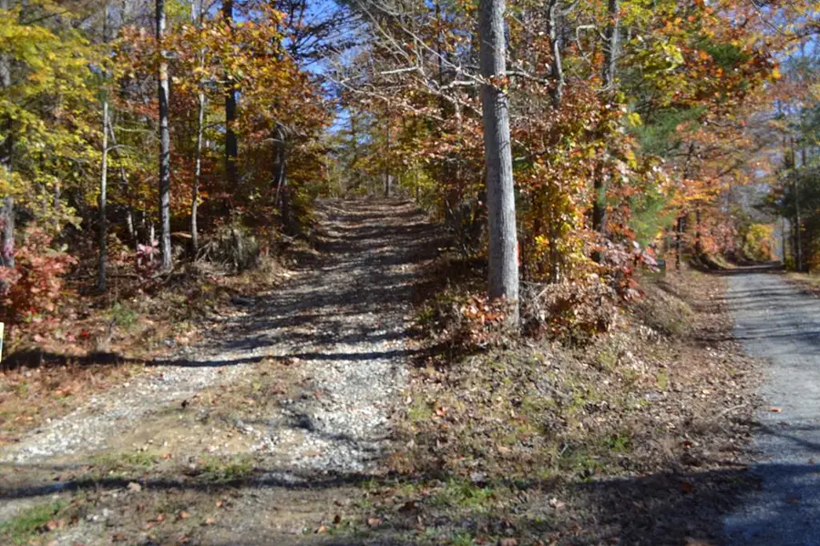 28.30ac Whitson Hollow Rd, Red Boiling Springs, TN 37150 - Image #3