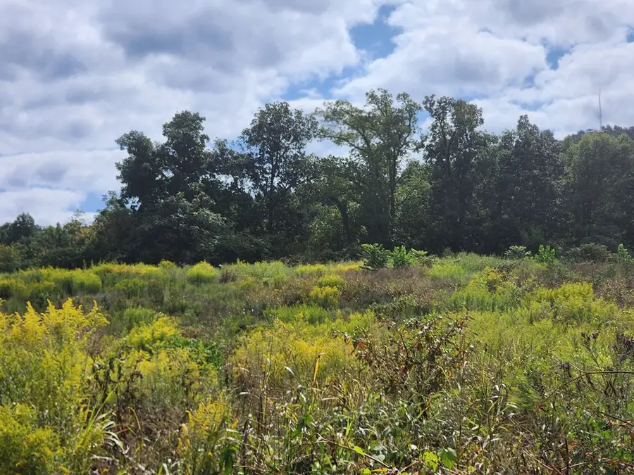 3.94ac Anderson Rd, Byrdstown, TN 38549 - Image #2