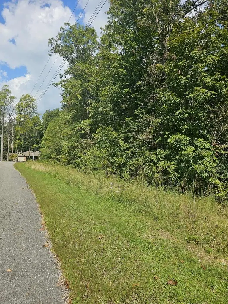 0 Old Tanner Cemetery Rd, Crossville, TN 38571 - Image #2