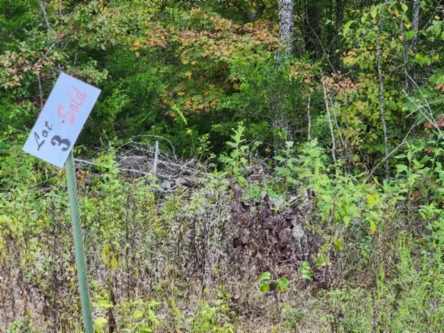 16.22ac Glenobey Rd, Jamestown, TN 38556 - Image #3