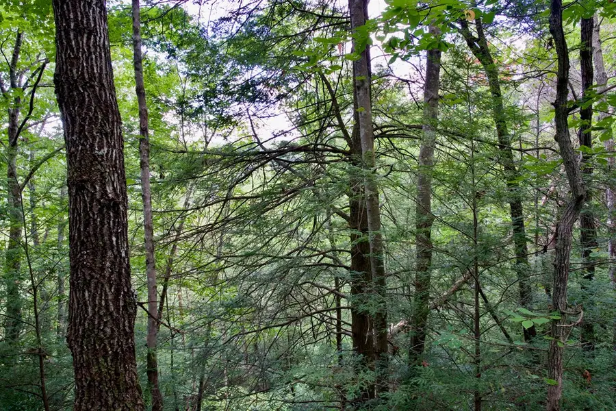 0 Fikes Field Rd & Greenfield Rd, Spencer, TN 38585 - Image #2