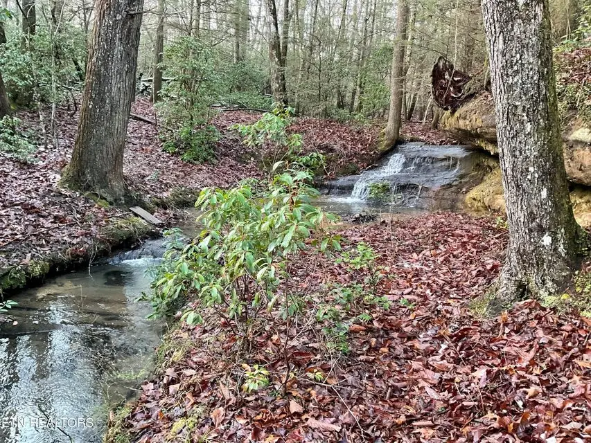 435 Cumberland Cove Road, Monterey, TN 38574 - #3